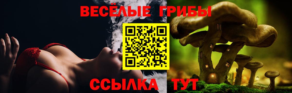 Фролово  где купить   Вход с VPN  Галлюциногенные грибы ЛСД 